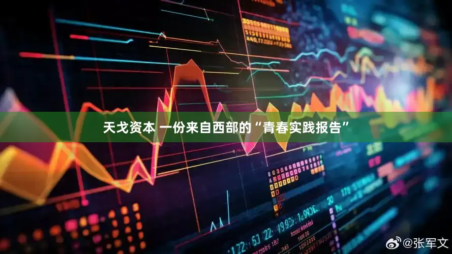 天戈资本 一份来自西部的“青春实践报告”